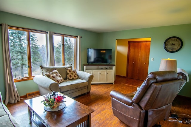 living room with wood-type flooring