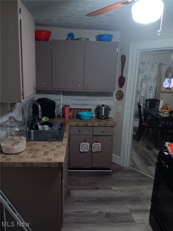 kitchen with gray cabinetry, wood-type flooring, sink, and black range with electric cooktop