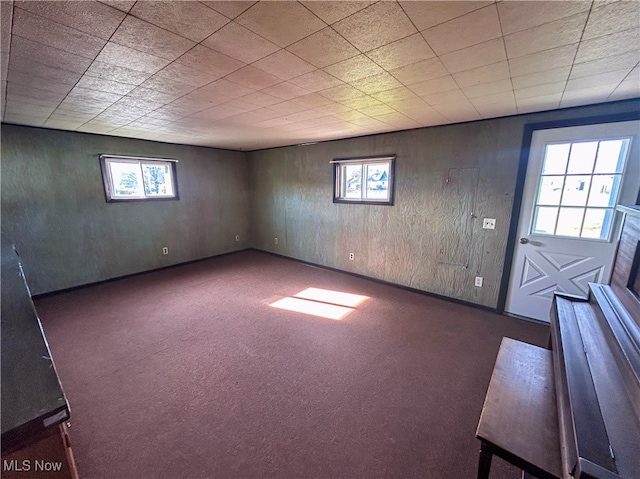 basement with wood walls and dark carpet