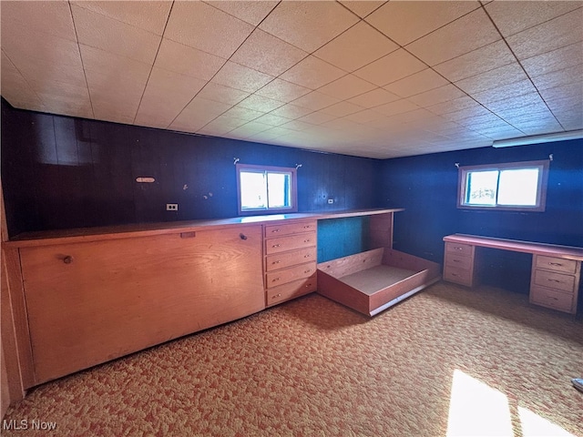 interior space with wooden walls, light colored carpet, and a healthy amount of sunlight