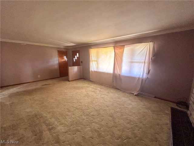 carpeted empty room with crown molding and a textured ceiling