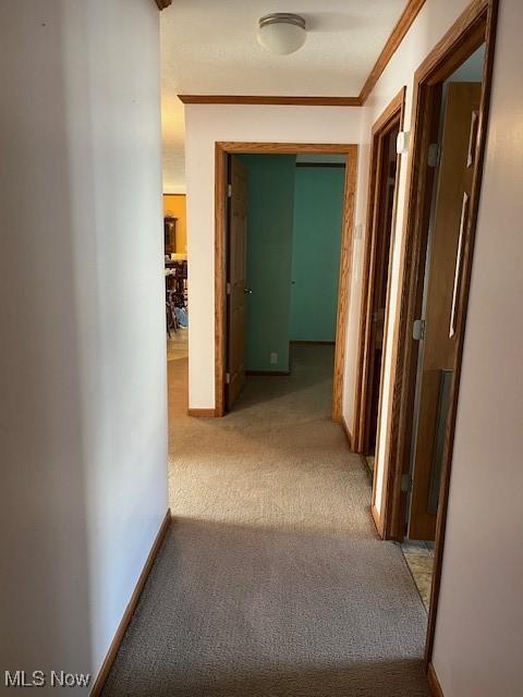 corridor featuring carpet and ornamental molding