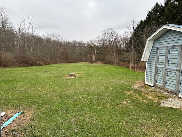 view of yard featuring a shed