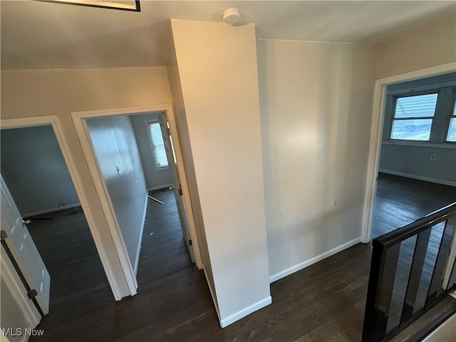 hall with dark hardwood / wood-style floors and lofted ceiling