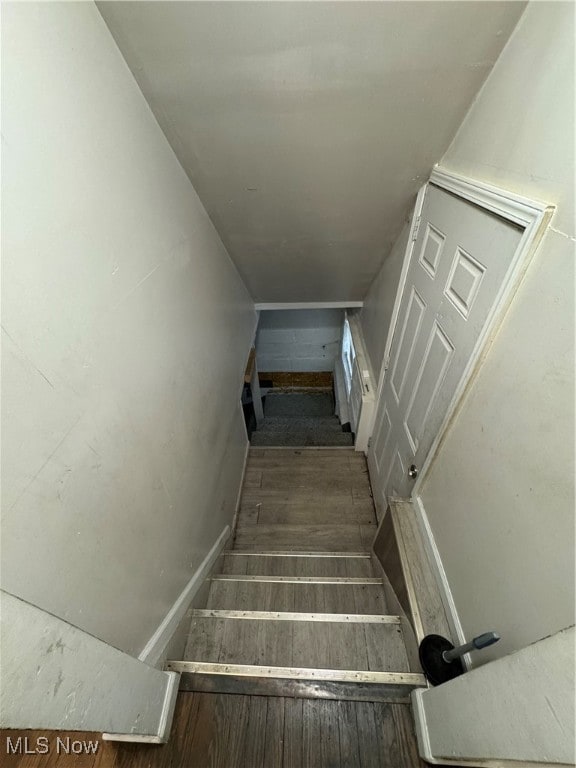 stairway with hardwood / wood-style flooring