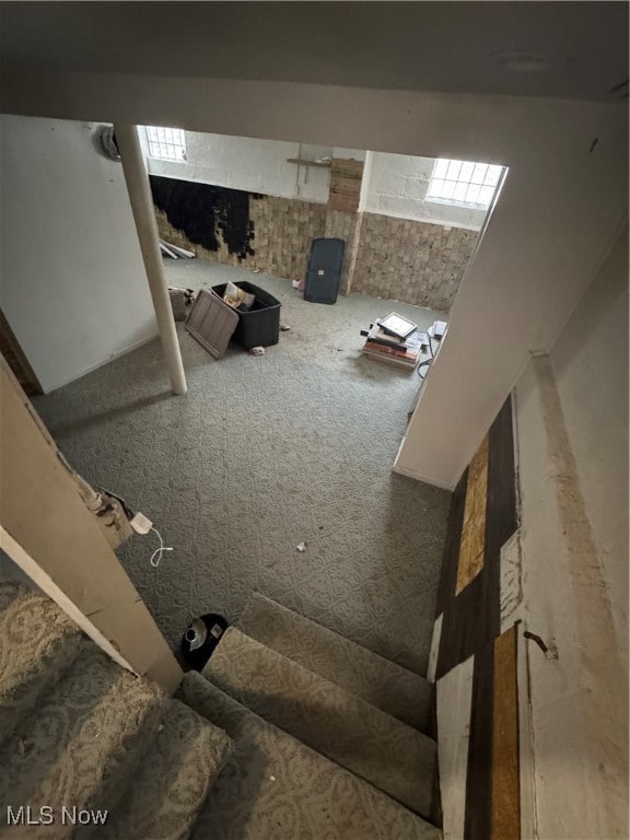 staircase featuring carpet flooring