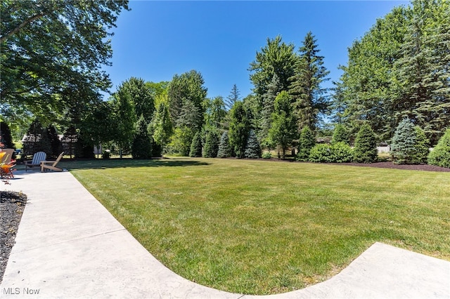 view of yard with a patio area