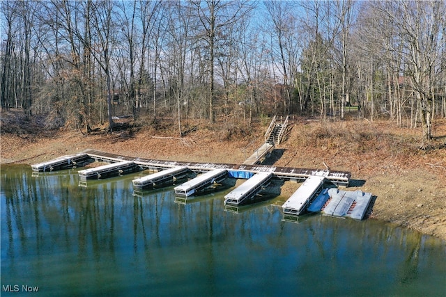 dock area with a water view