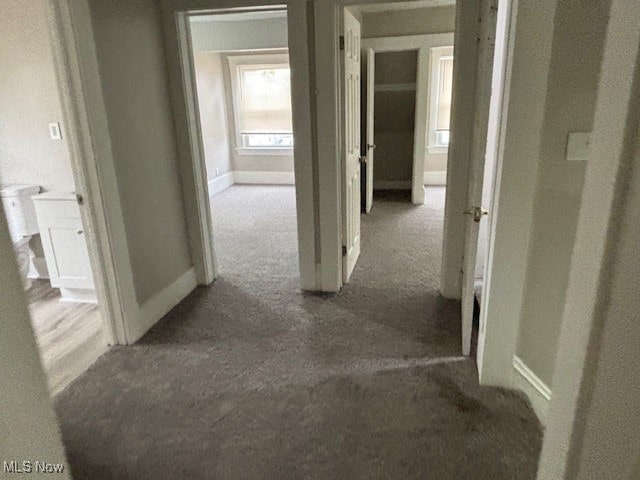 hallway featuring carpet floors