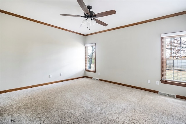 empty room featuring ceiling fan, carpet floors, and ornamental molding