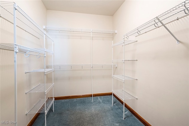 walk in closet featuring carpet floors