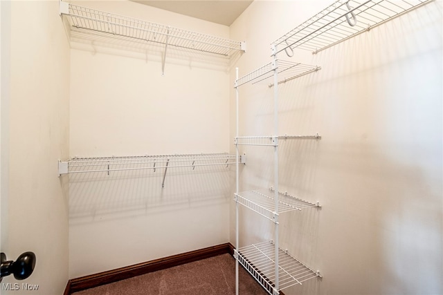 spacious closet featuring carpet