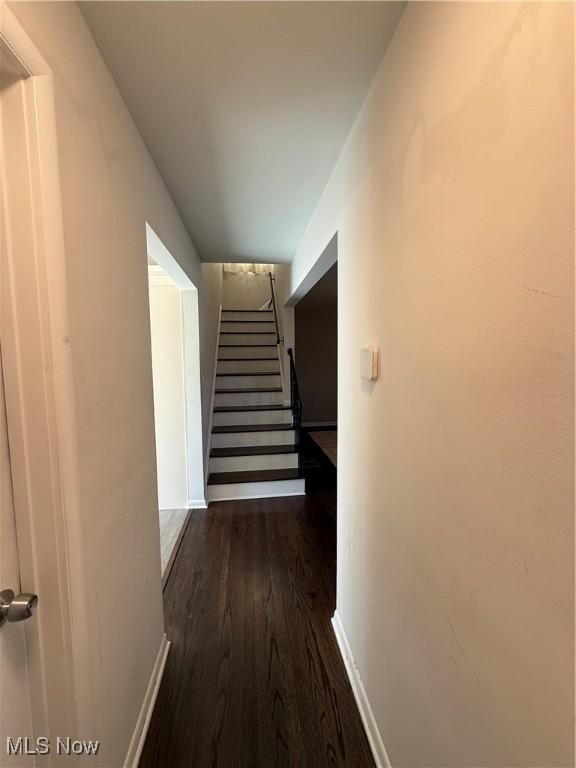 23910 Puritan Rd, Euclid, OH 44123 - hall featuring dark wood-style floors, baseboards, and stairs