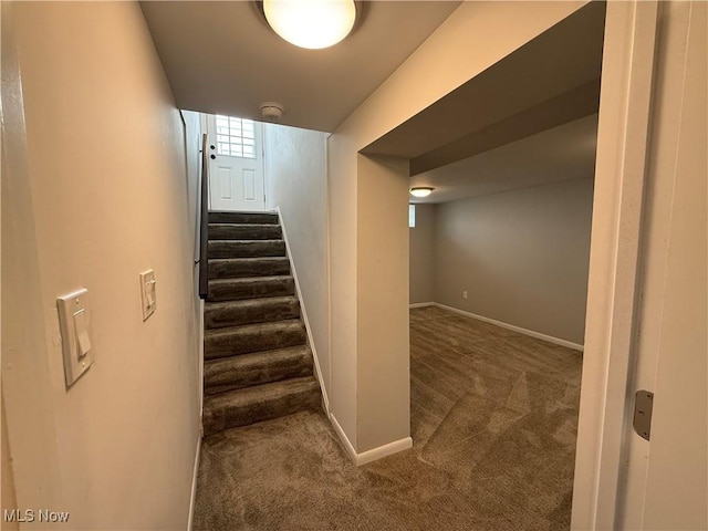 23910 Puritan Rd, Euclid, OH 44123 - stairs featuring carpet and baseboards
