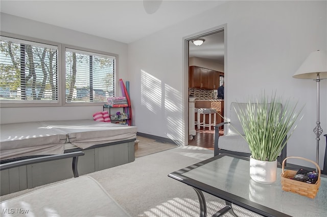 bedroom featuring light hardwood / wood-style flooring