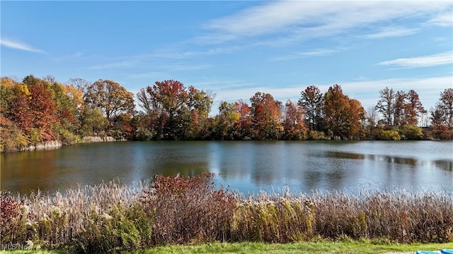 view of water feature