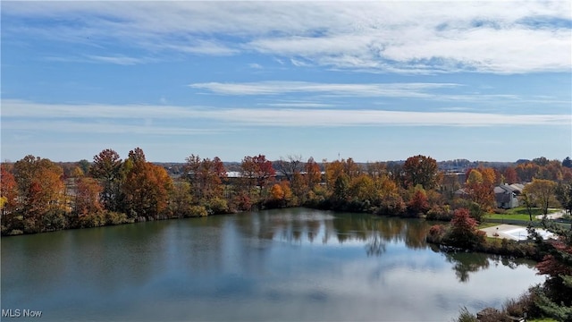 property view of water