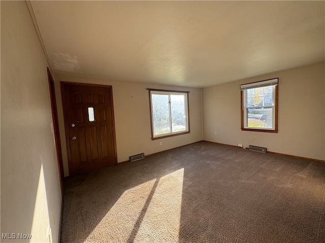 interior space featuring carpet and a healthy amount of sunlight