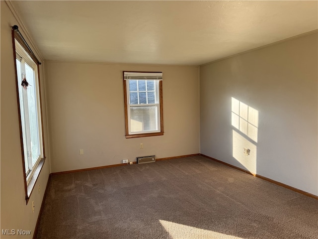 empty room featuring carpet and ornamental molding