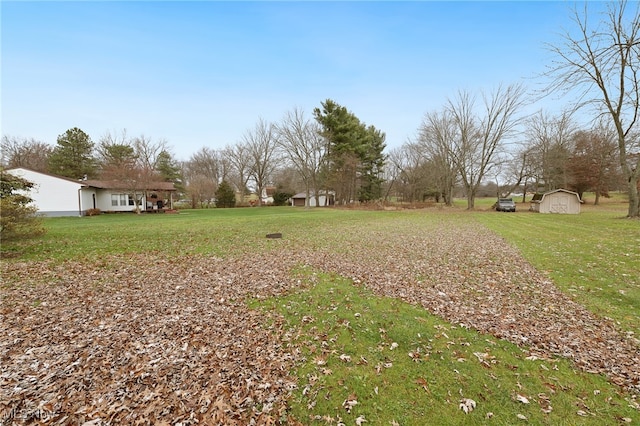 view of yard featuring a shed