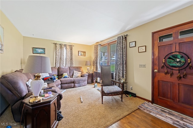 living room with wood-type flooring