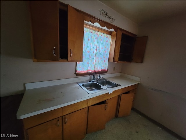 kitchen featuring sink and light carpet