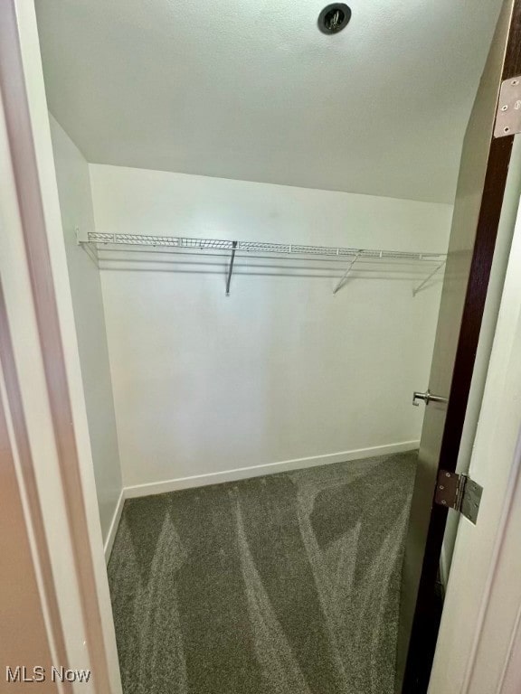 spacious closet featuring carpet floors