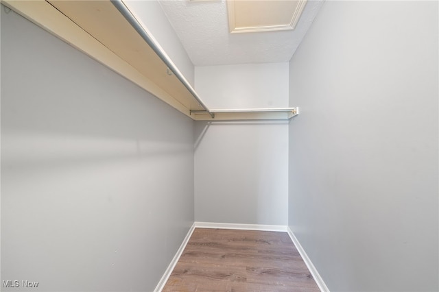 walk in closet featuring light hardwood / wood-style flooring