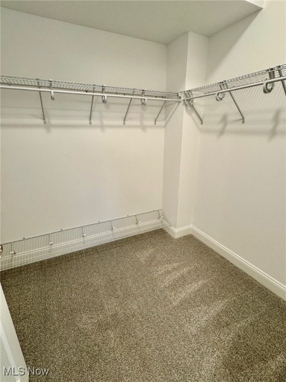 spacious closet featuring carpet floors