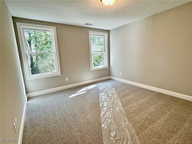 unfurnished room with carpet floors and a textured ceiling