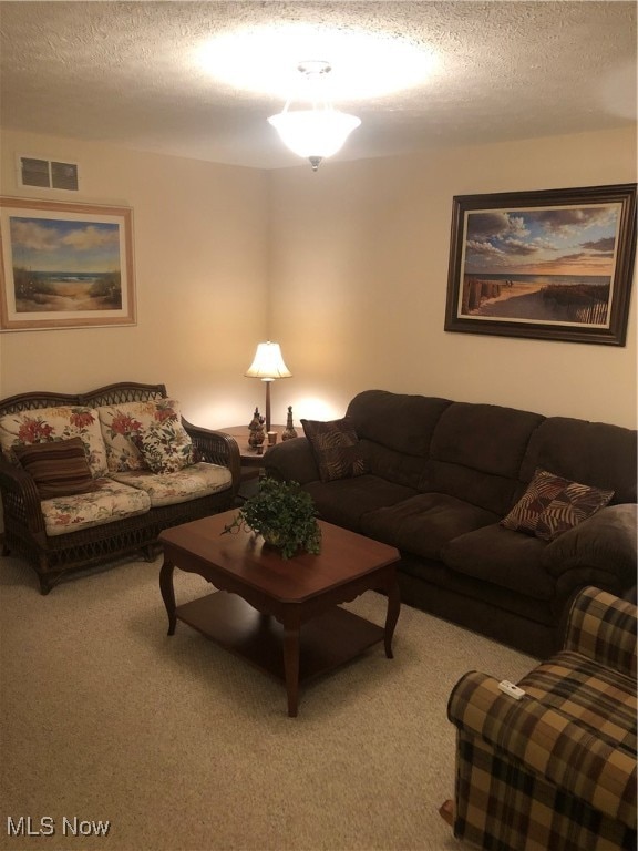 living room with carpet flooring and a textured ceiling