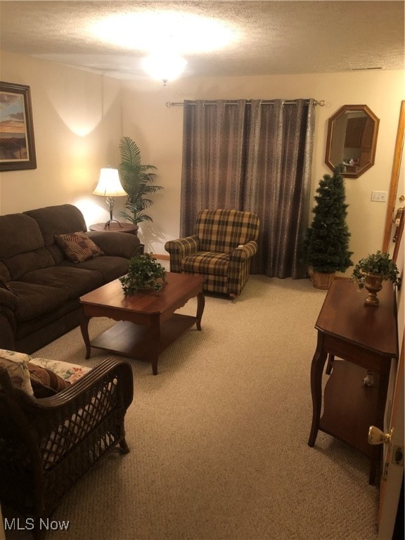 carpeted living room with a textured ceiling