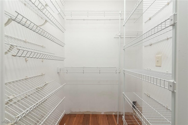 spacious closet featuring wood-type flooring