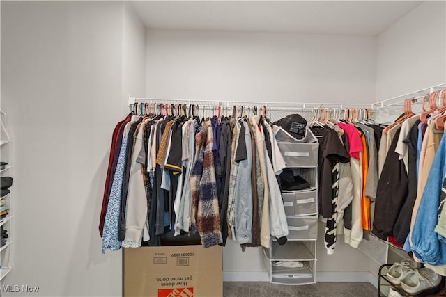 spacious closet with carpet floors