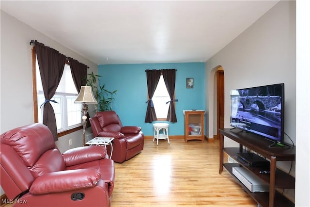 living room with wood-type flooring