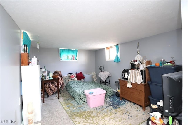 bedroom with carpet flooring