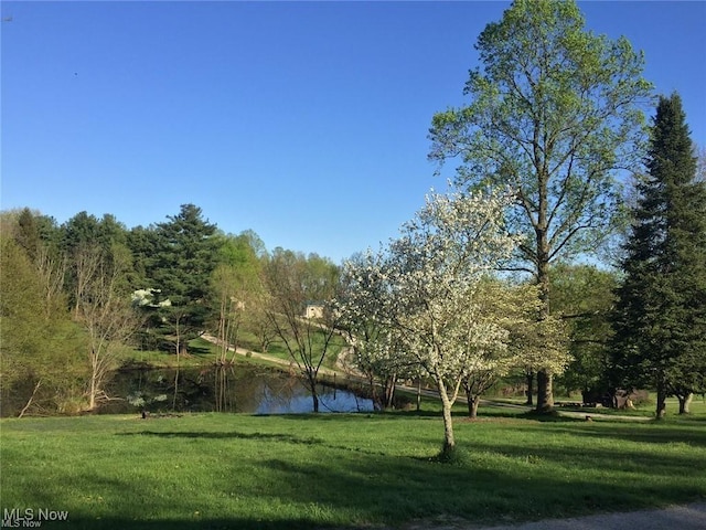 surrounding community featuring a yard and a water view