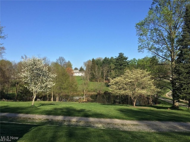 view of community featuring a lawn