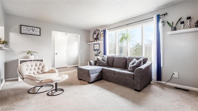 living room with carpet and a textured ceiling