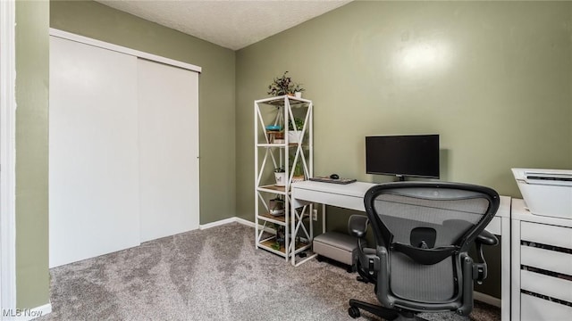 office space with carpet flooring and a textured ceiling