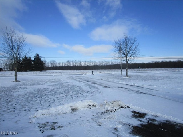 view of snowy yard