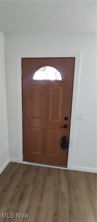 entryway featuring hardwood / wood-style flooring