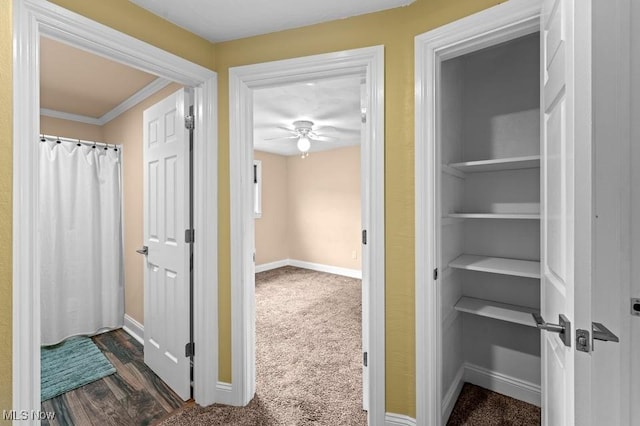 bathroom featuring ceiling fan and crown molding