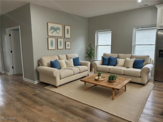 living room featuring wood-type flooring