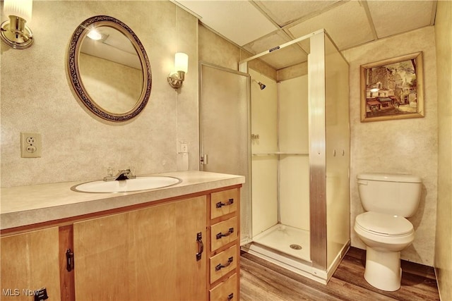 bathroom featuring vanity, toilet, wood-type flooring, and walk in shower