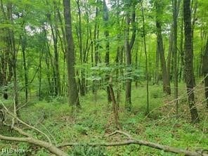 0 Deer Hill Rd, Dennison OH, 44621 land for sale