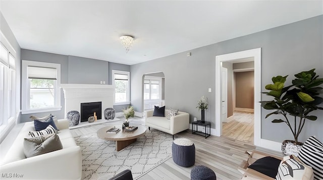 living room featuring plenty of natural light and light wood-type flooring