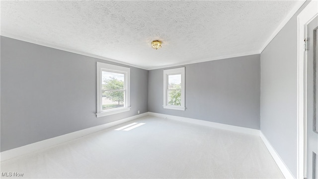 empty room featuring light colored carpet and a textured ceiling