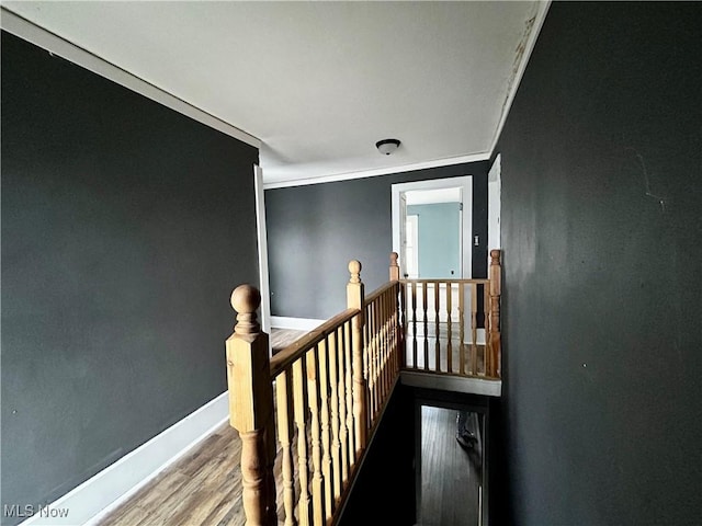 hall featuring hardwood / wood-style floors and ornamental molding