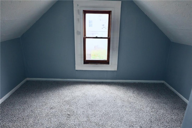 additional living space featuring carpet, a textured ceiling, and vaulted ceiling